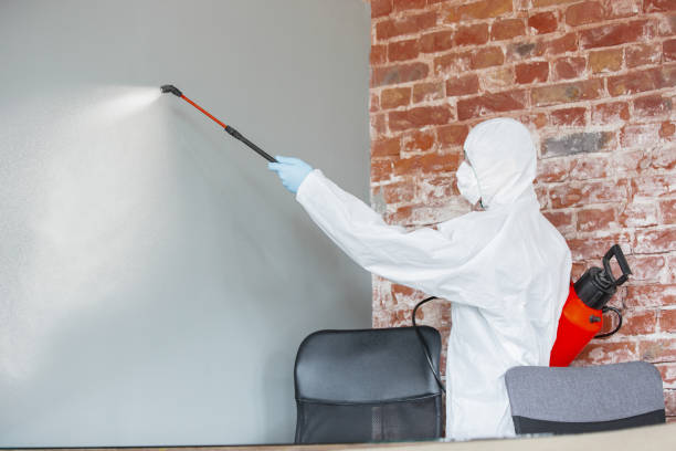 Mold Remediation for Vacation Homes in Victory Lakes, NJ