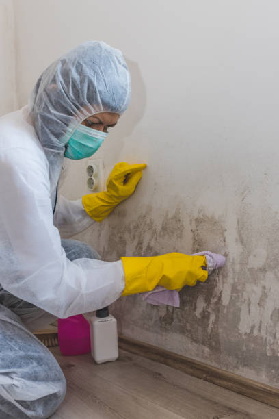 Best Post-Remediation Verification Testing  in Victory Lakes, NJ
