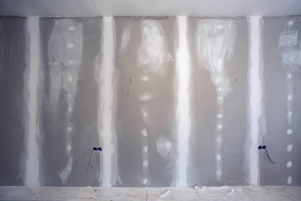 Biohazard Mold Removal in Victory Lakes, NJ